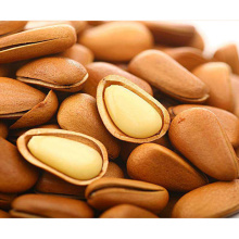 2019 High Quality Cheap Bulk Pine Nuts